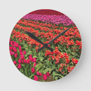 Relógio Redondo Colorful Tulip Field, Oregon
