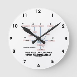 Relógio Redondo Como bem você sabe a classificação do vírus?
