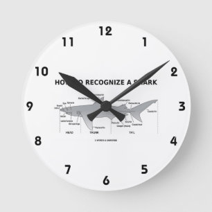 Relógio Redondo Como reconhecer um tubarão (humor da biologia)
