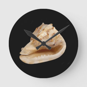 Relógio Redondo Conch Shell Wall Clock