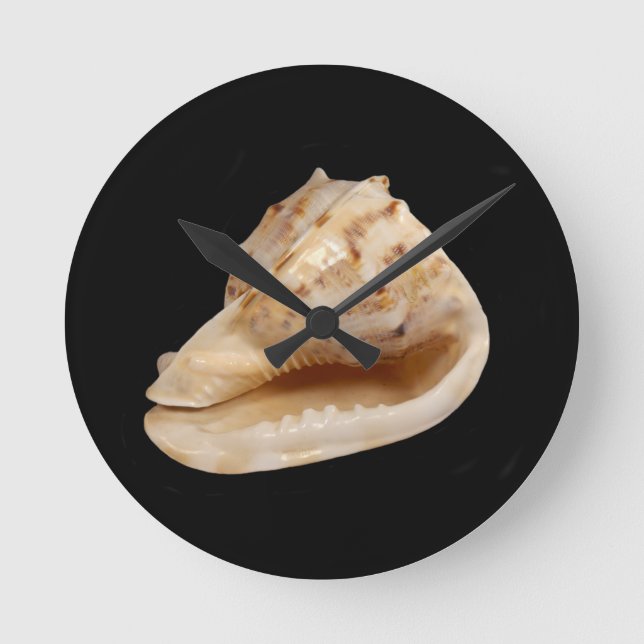 Relógio Redondo Conch Shell Wall Clock (Frente)