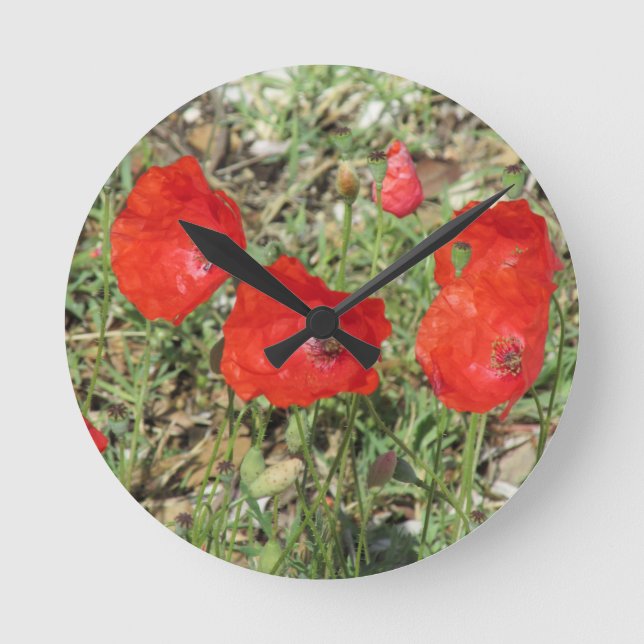 Relógio Redondo Corfu Red Poppies (Frente)