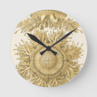 Criaturas do Mar de Ouro