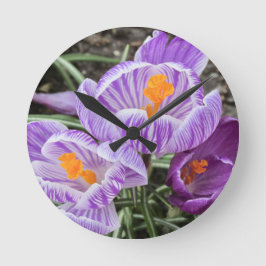 Relógio Redondo Crocos Primavera roxos.