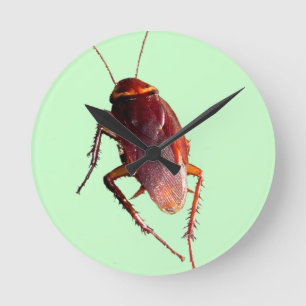 Relógio Redondo Crunchy Cockroach