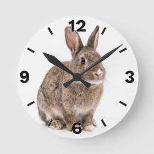 Relógio Redondo Cute Brown Rabbit Bunny Farm Nursery Decor