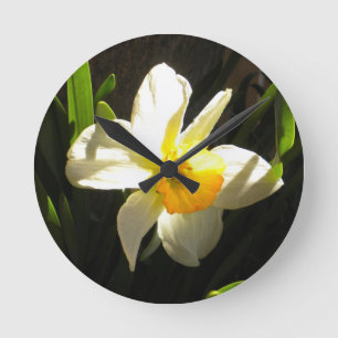Relógio Redondo Daffodil no pulso de disparo de parede da aurora