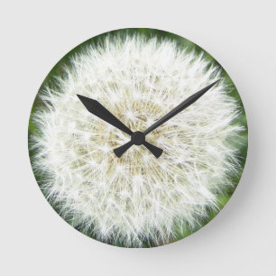 Relógio Redondo Dandelion puff
