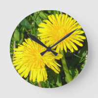 Dandelions