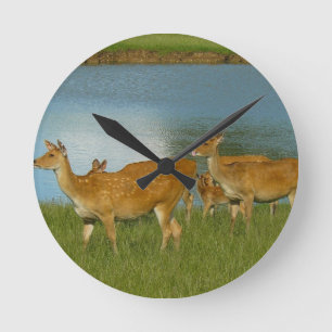Relógio Redondo Deer Animal Nature Paz Amor Destino Arte Divertida