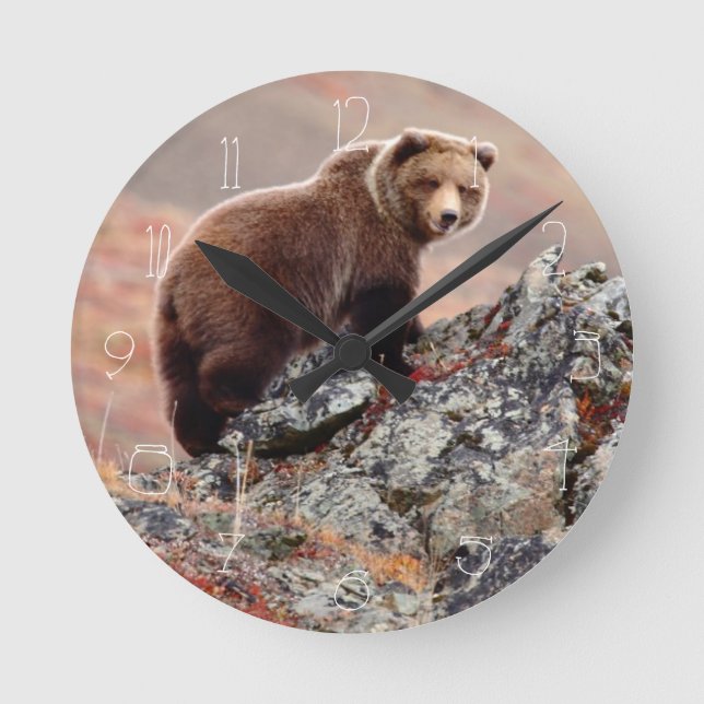 Relógio Redondo Denali Brown Bear (Frente)