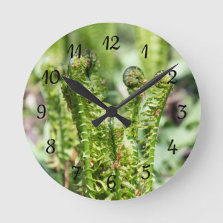 Relógio Redondo Despertar jovem samambaia no jardim
