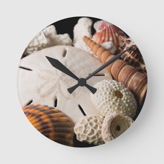 Relógio Redondo Detalhe De Conchas De Todo O Mundo (Frente)