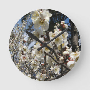 Relógio Redondo ) Do 桜 do (branco da flor de cerejeira/Sakur