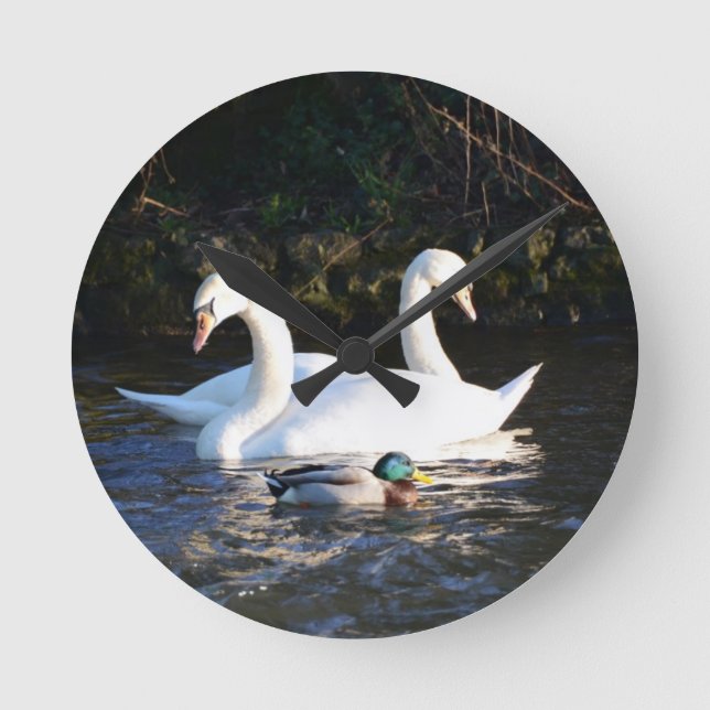 Relógio Redondo Dois Cisnes E Um Pato (Frente)