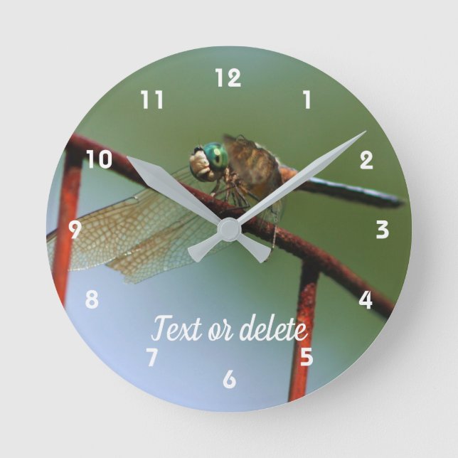 Relógio Redondo Dragonfly On Wire Fence Personalizada (Frente)