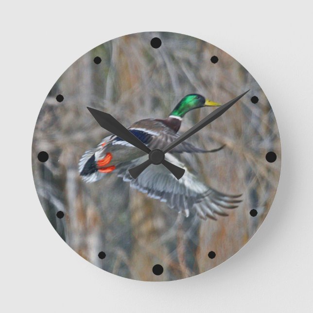 Relógio Redondo Drake Mallard em voo (Frente)