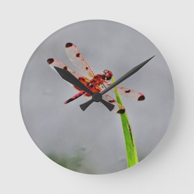 RELÓGIO REDONDO DSC00029.JPG (Frente)