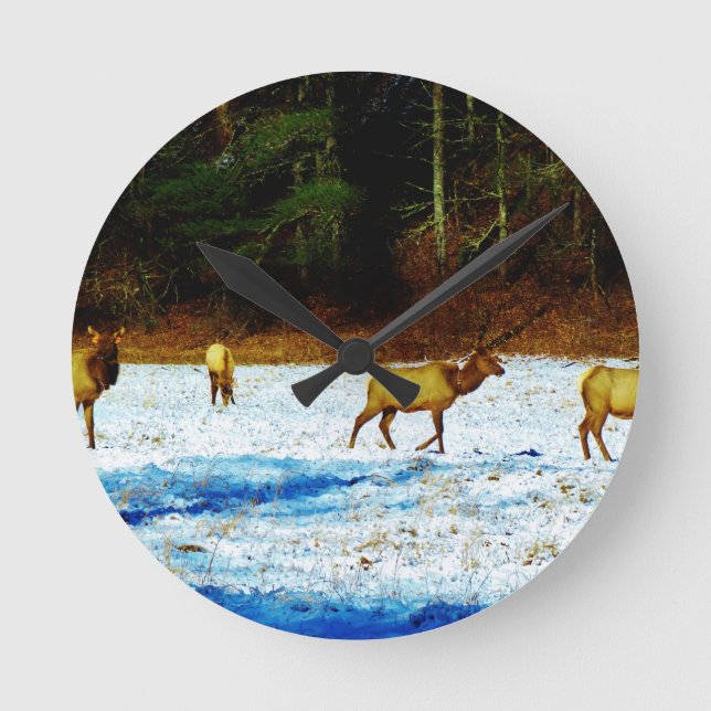 RELÓGIO REDONDO DSC00131.JPG (Frente)