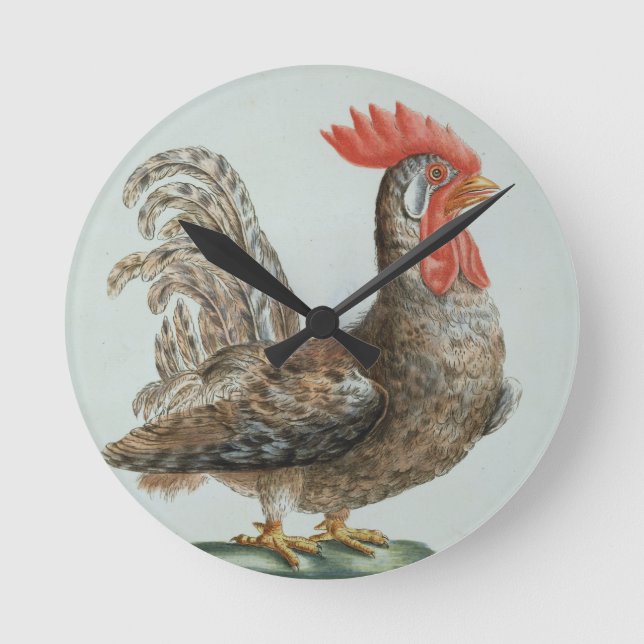 Relógio Redondo Dwarf Cockerel, c.1767-76 (hand coloured engraving (Frente)