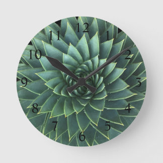 Relógio Redondo Espiral Aloe Polyphylla Succulent
