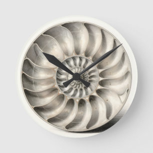 Relógio Redondo Espiral Geométrica de Concha de Náutilo Metálico