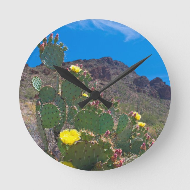 Relógio Redondo EUA, Arizona. Cactus Nas Colinas (Frente)