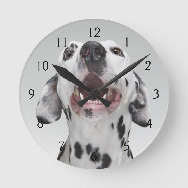 Relógio Redondo Feche acima de um cão Dalmatian (Frente)