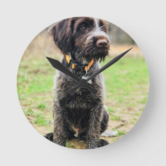 Relógio Redondo Filhote de cachorro apontar Griffon Wirehaired