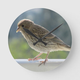 Relógio Redondo Finch no Sol da Manhã.