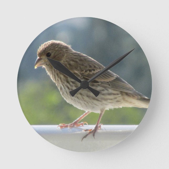 Relógio Redondo Finch no Sol da Manhã. (Frente)