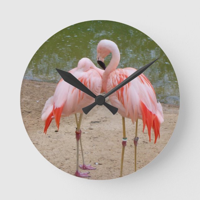 Relógio Redondo flamingo Round Clock rosa (Frente)