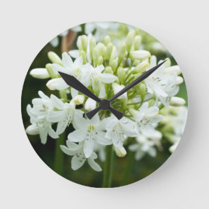 Relógio Redondo Flor Agapanthus Branco