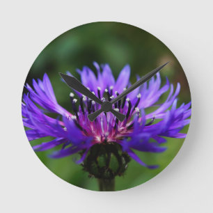 Relógio Redondo Flor de Centáurea Azul Florescem Paz Amor Destino