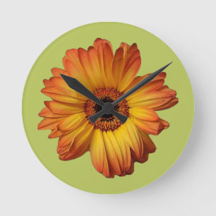 Relógio Redondo Flor de gerbera-laranja-ensolarada