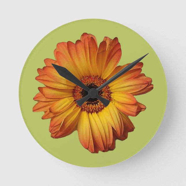 Relógio Redondo Flor de gerbera-laranja-ensolarada (Frente)
