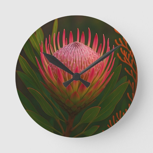 Relógio Redondo Flor de Protea Rosa Exótica em Flor (Frente)
