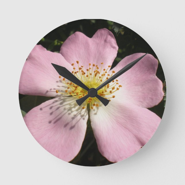 Relógio Redondo Flor de rosa selvagem (Frente)