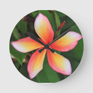 Relógio Redondo Flor do Frangipani