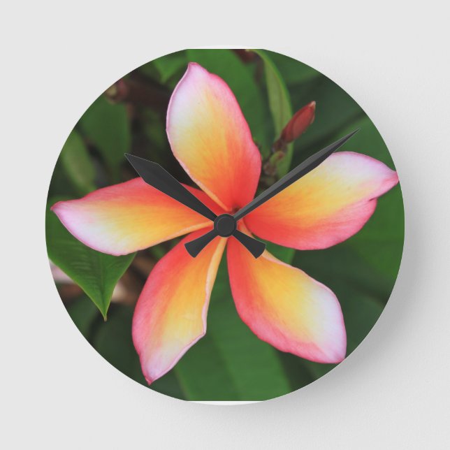 Relógio Redondo Flor do Frangipani (Frente)