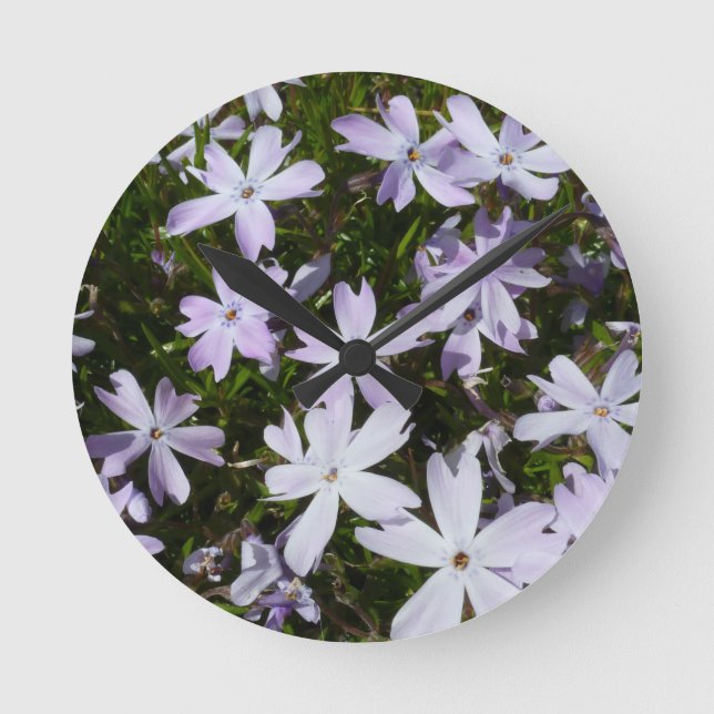 Relógio Redondo Flor do Phlox (Frente)