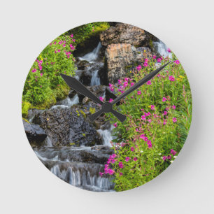 Relógio Redondo Flores De Macaco Ao Longo Do Almoço Em Glaciar