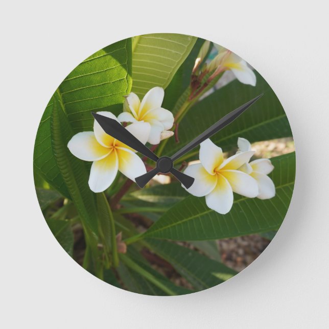 Relógio Redondo Flores Fragrantes Frangipani (Frente)