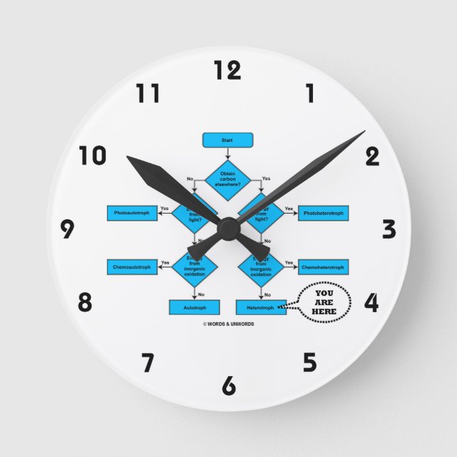 Relógio Redondo Fluxograma Heterotroph Você Está Aqui Humor Biológ (Frente)