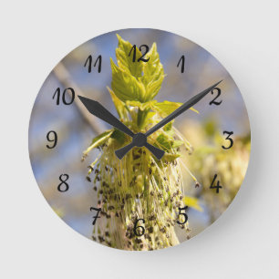 Relógio Redondo Folhas bonitas em primavera
