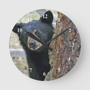 Relógio Redondo Foto da árvore do urso preto