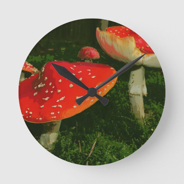 Relógio Redondo Foto vermelha dos cogumelos de Muscaria do amanita (Frente)