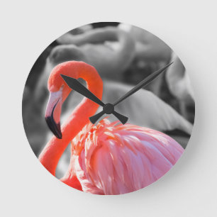 Relógio Redondo Fotografia de Flamingo Bird