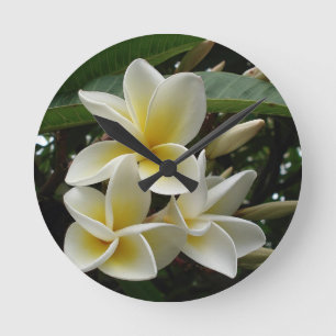Relógio Redondo Frangipani Tree Blossoms Destino Flora de Paz