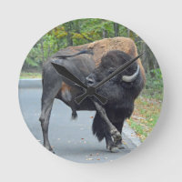 Funny Bull Bison Licenciando Seus Testículos